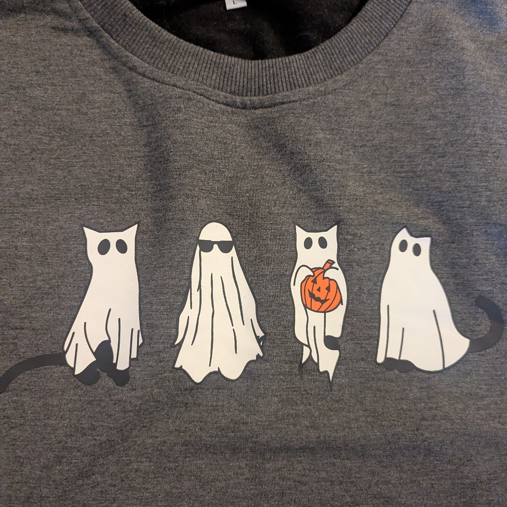 Gray Ghost Cat Sweatshirt